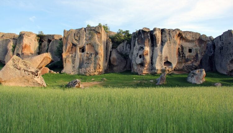 20200207104207455 aslantas10